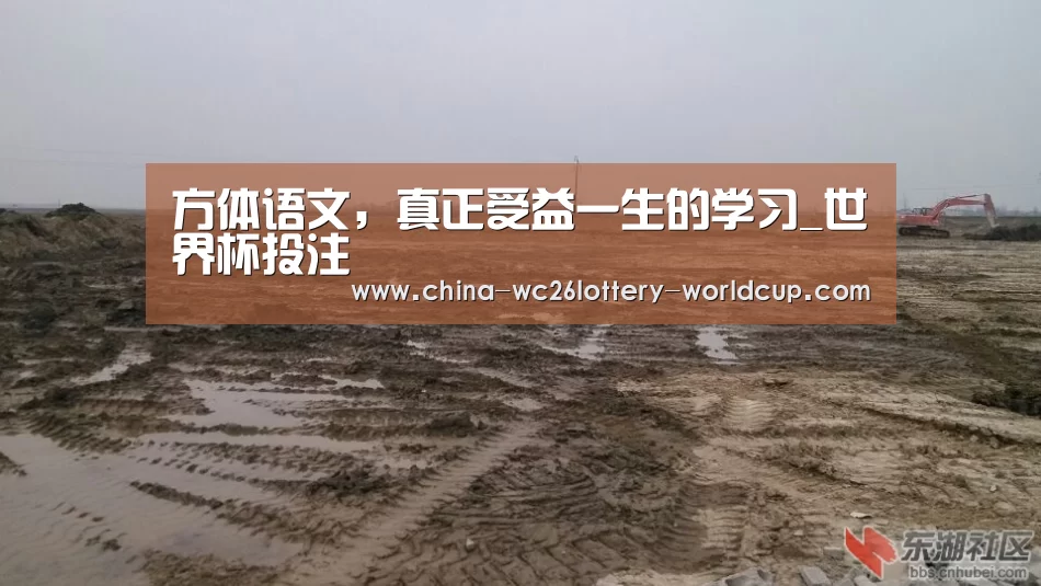 方体语文,真正受益一生的学习_世界杯投注(图2) 世界杯买球网站