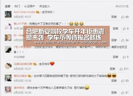 合肥新安驾校学车开年钜惠震撼来袭 学车不等待报名就练车|世界杯投注(图3) 世界杯买球网站