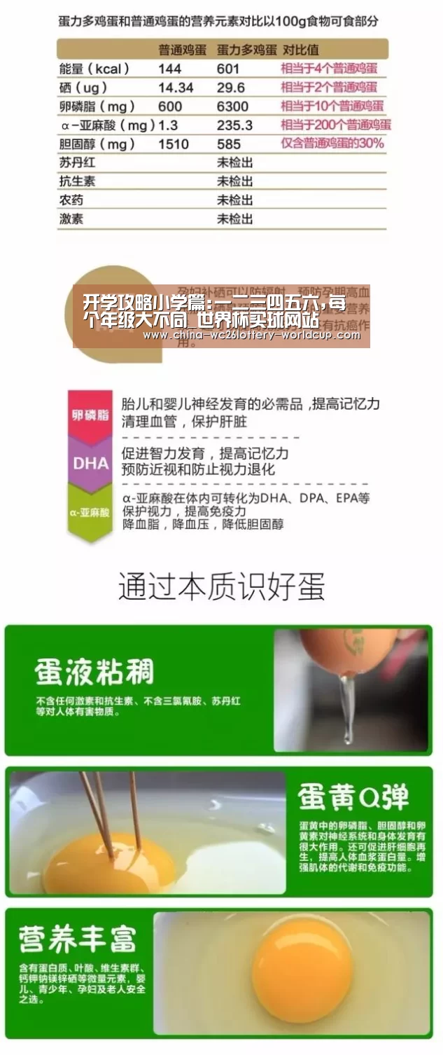 世界杯外围买球
